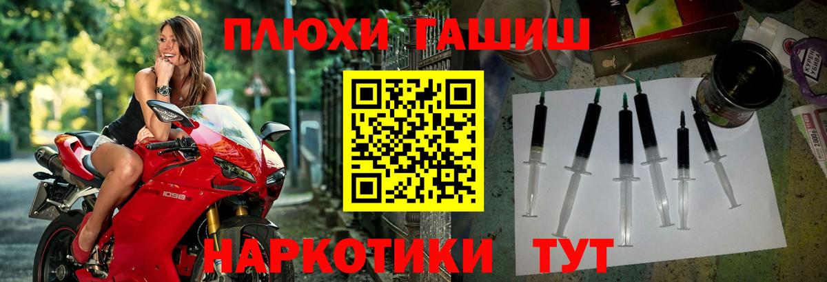 ГАШ Premium Коряжма